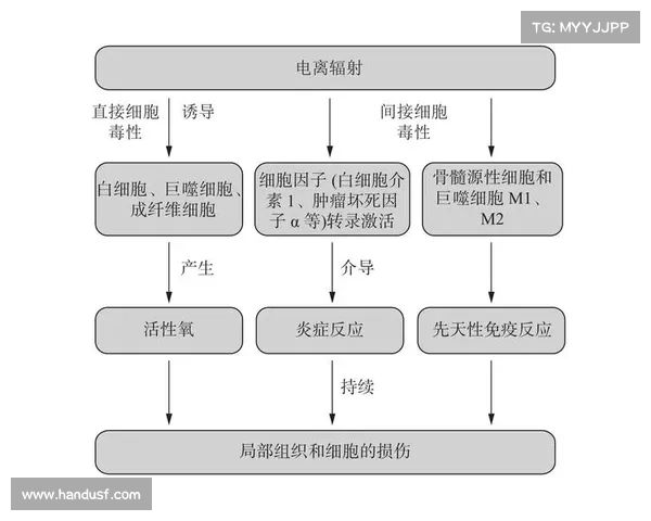 辐射后如何最小化细胞损伤 辐射后如何最小化细胞损伤