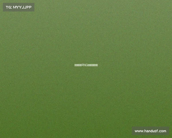 永不言弃：RNG的电竞传奇之路